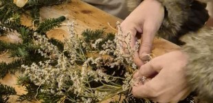 597165010_4299914256894237_8783044213500456261_n